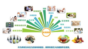 搭建集酵素產(chǎn)品銷售 體驗 健康管理咨詢服務(wù)一體化服務(wù)平臺