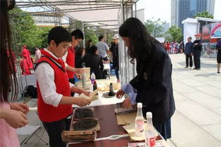 我市下城區(qū)第十七屆 教育超市 教育公園 咨詢服務(wù)活動在武林廣場歡樂開鑼